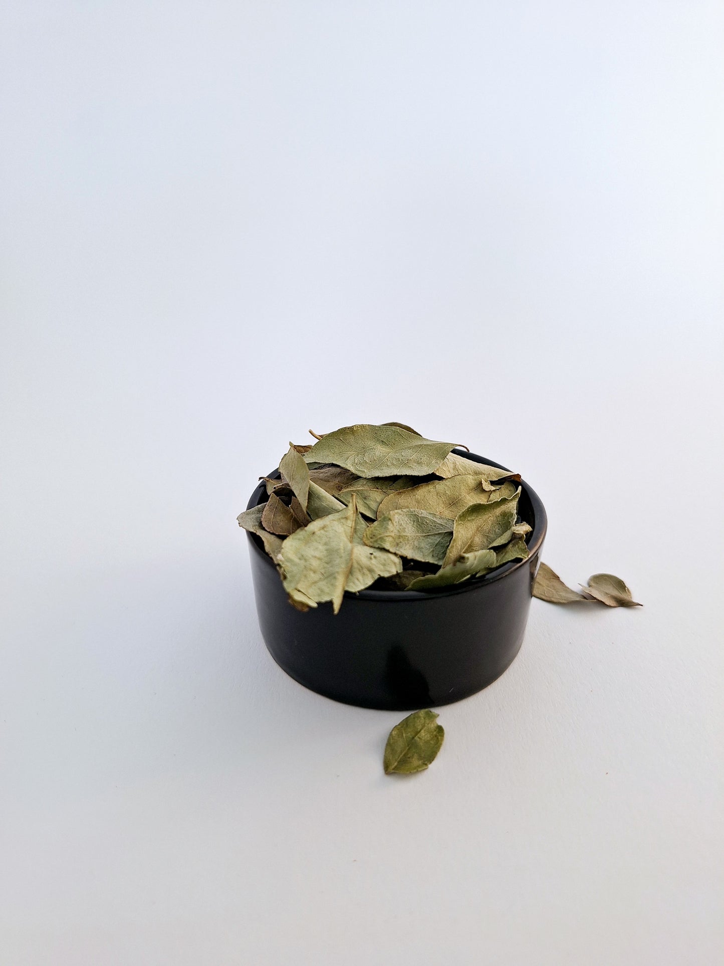 Curry Leaves